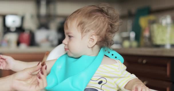 A kisfiú kenyérmorzsát eszik. — Stock videók