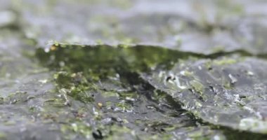 Deniz lahana kuru yaprak