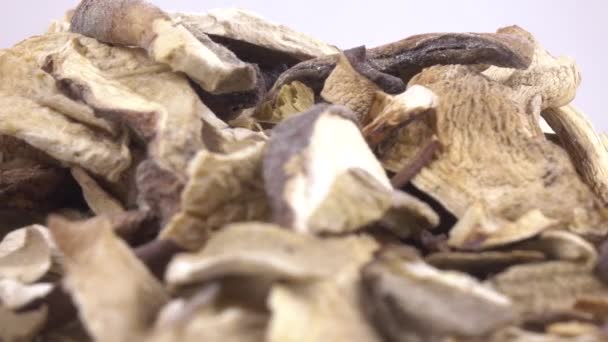 Сушеные белые грибы — стоковое видео