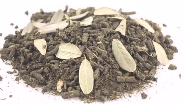 Ivan tea mit Blättern der Preiselbeere — Stockvideo