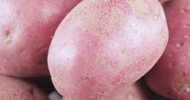 Aardappelen rode bulk op tafel — Stockvideo