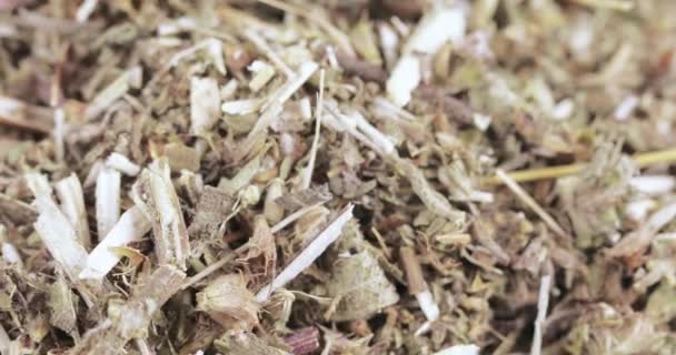 Motherwort fű ömlesztve — Stock videók