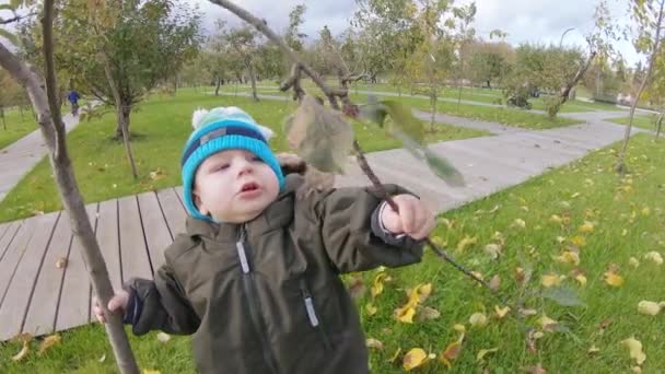 Baby jongen schudt de boom — Stockvideo