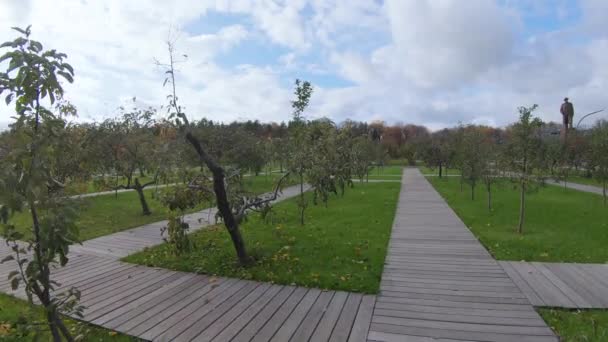 Gat houten loopbrug — Stockvideo