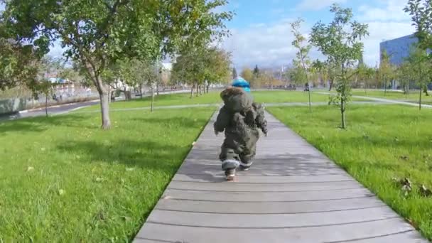 Niño se levanta y corre — Vídeos de Stock