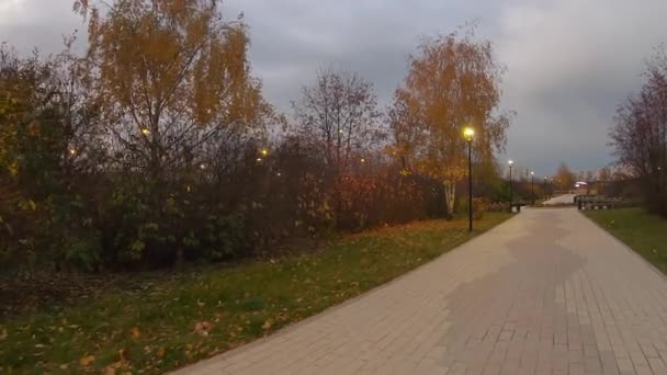 Осінній міський парк після сутінків — стокове відео