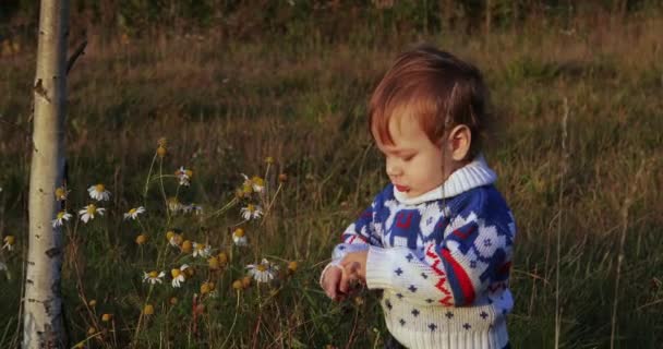 Menino infantil em uma camisola de Ano Novo — Vídeo de Stock