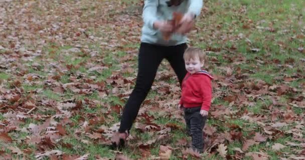 Bébé garçon avec sa mère jeter des feuilles — Video