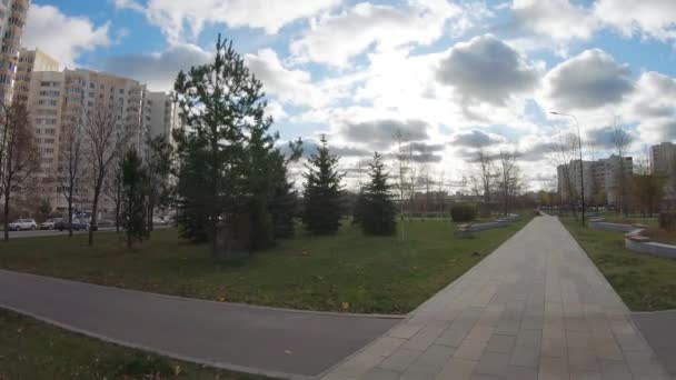 Alley i en stadspark — Stockvideo