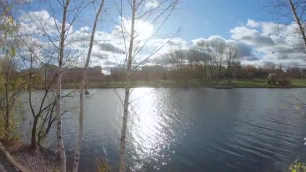 Teich in der hinteren Sonne — Stockvideo