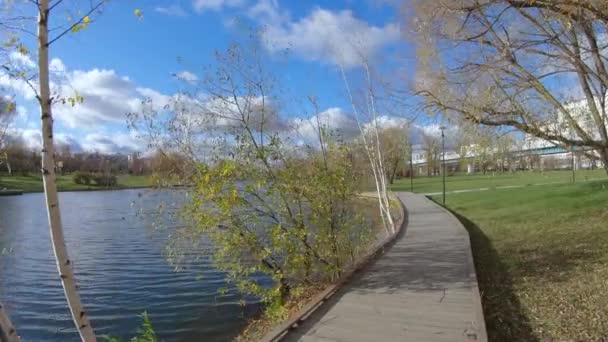 Wooden walkway by the pond — Stock Video