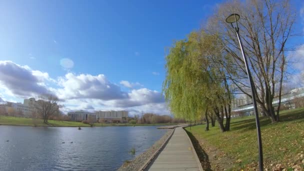 Wooden walkway by the pond — Stock Video