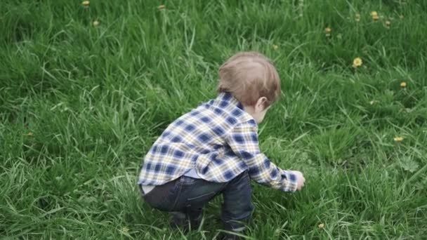 Хлопчик дитина в футболці блює квіти — стокове відео