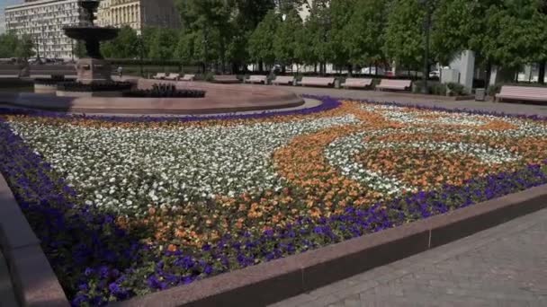 Пам "ятник Пушкіну — стокове відео