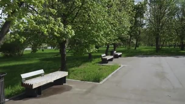 Benches for sitting — Stock Video