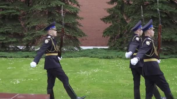 Passaggio della guardia d'onore — Video Stock