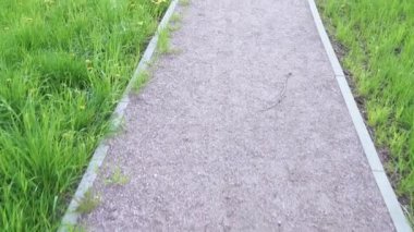 Yayaların çakıl yolu