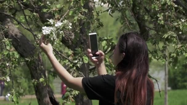 Una chica se toma — Vídeo de stock