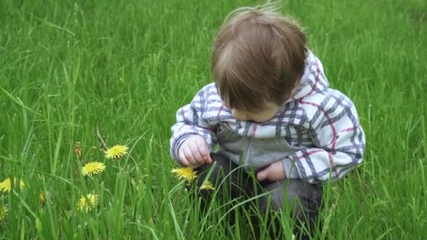 Pojken sitter på en gräsmatta — Stockvideo