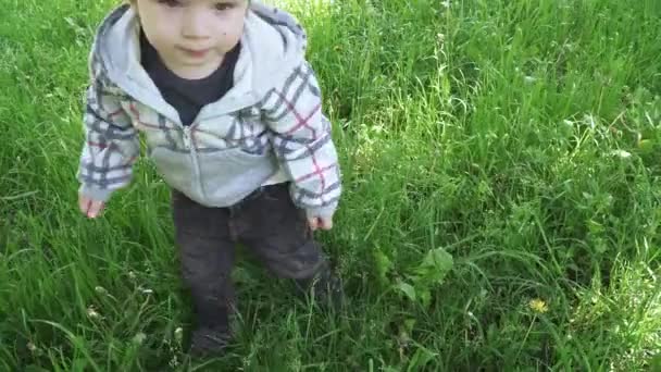 Um menino na grama grossa — Vídeo de Stock