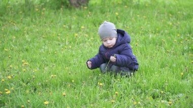 Şapkalı çocuk karahindiba koparır.