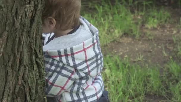 Chico cerca de un árbol juega — Vídeos de Stock