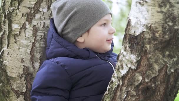 头上戴帽子的男孩在桦树上 — 图库视频影像