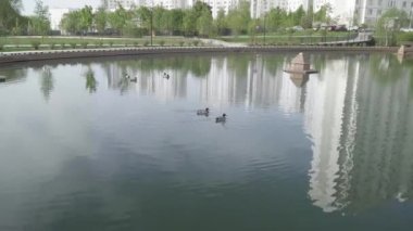 Parkta küçük bir göl
