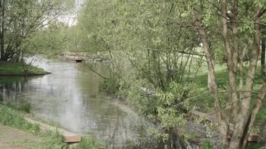 Park yerinde ağaçlar olan ada.