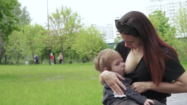 Mutter zieht Kind groß — Stockvideo