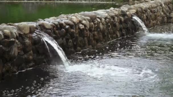 Kaskádová fontána s břízami — Stock video