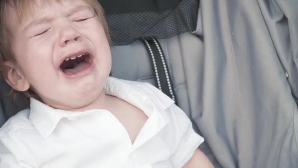 Boy cries in a riding stroller — Stock Video