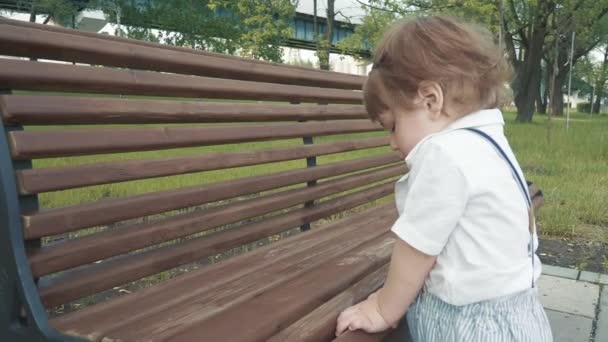 Un niño juega y elige guijarros — Vídeos de Stock