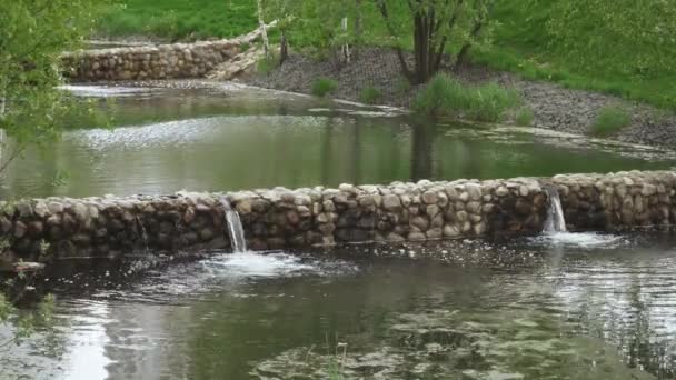 Fontaine en cascade avec bouleaux — Video