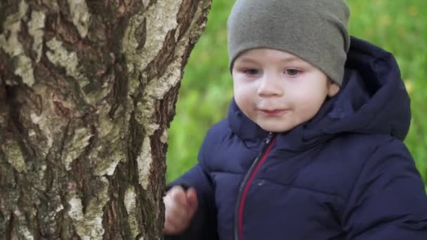 Niño niño toca un árbol — Vídeos de Stock