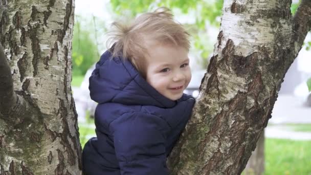 Garçon sur un bouleau dans le parc