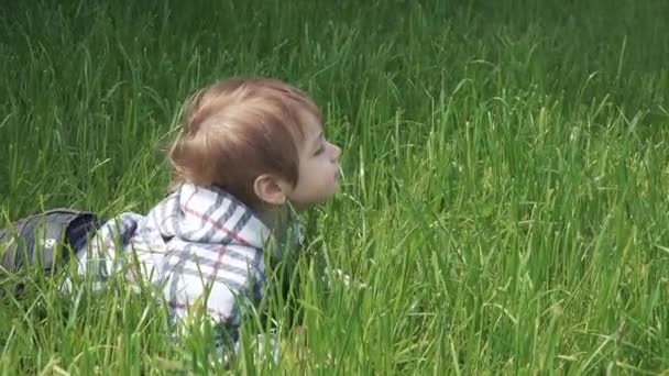 Хлопчик сидить на газоні — стокове відео