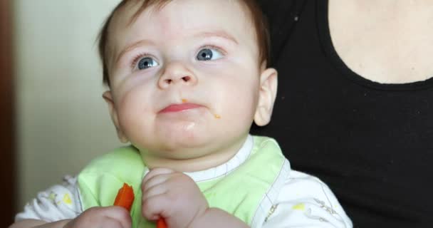小男孩在吃胡萝卜 — 图库视频影像
