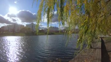 Söğüt dallarındaki güneş