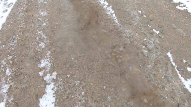 Eis und Schnee auf einer Pfütze — Stockvideo