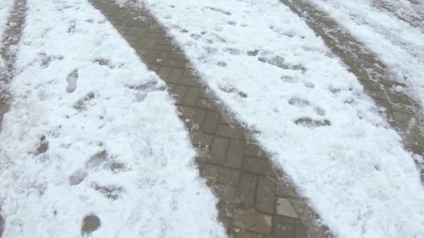 Traces of cars in the snow — Stockvideo