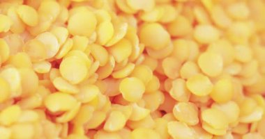 Lentil Farsça toplu