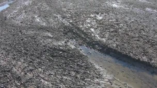 Cendres et scories Centrales thermiques 