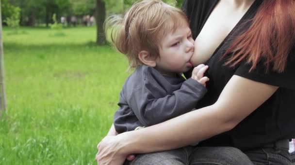 Mama karmi piersią małego chłopca — Wideo stockowe