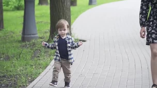 Мальчик гуляет в парке — стоковое видео