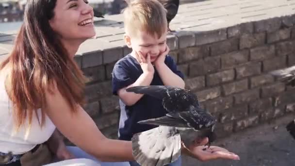 Mutter mit ihrem Sohn füttert Tauben — Stockvideo