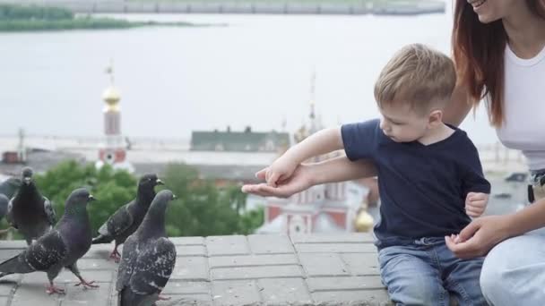 Mamá con su hijo alimenta palomas — Vídeo de stock