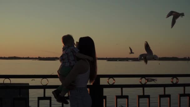 Silhouettes of mother and son — Stock Video