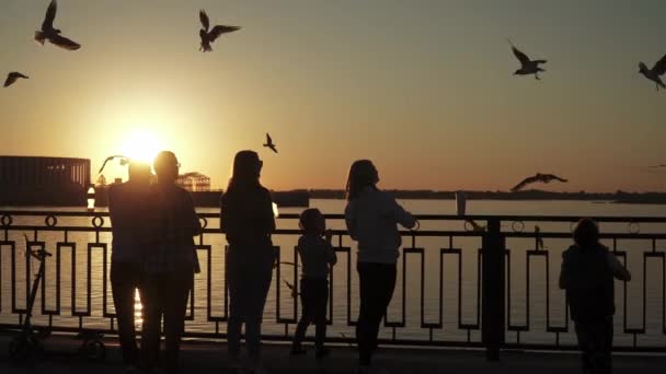 Siluetas de personas — Vídeo de stock