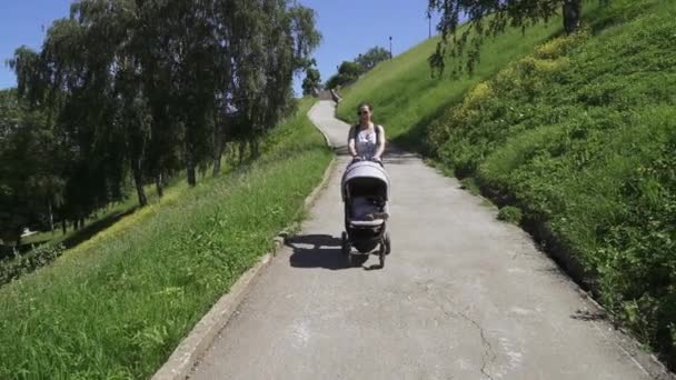 Moeder met een wandelwagen daalt — Stockvideo
